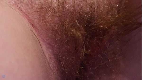 bush appreciation
